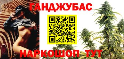 крисы Лесосибирск