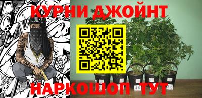 крисы Лесосибирск