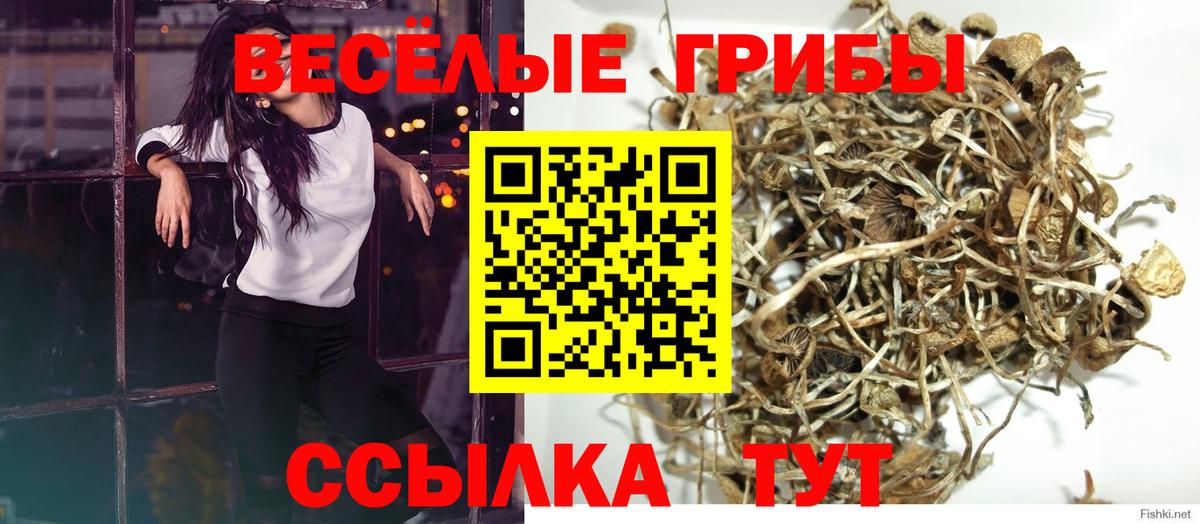 Воскресенск  Псилоцибиновые грибы MAGIC MUSHROOMS  Вход с VPN 